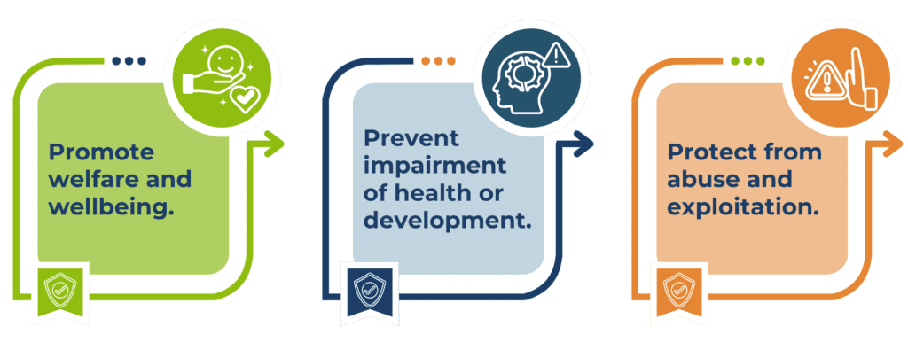 Three coloured boxes with icons highlight key aims: Promote welfare and wellbeing (green, hand icon), prevent impairment from trauma or health issues (blue, head icon), and protect from abuse or exploitation (orange, warning icon).