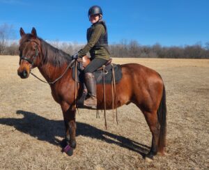 A person wearing a helmet, gloves, and riding kit sits on a brown horse in an open, grassy field—embracing the calming effects of nature that can support trauma recovery under a clear blue sky.