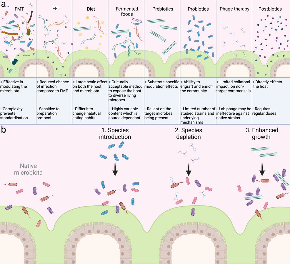 Diagram comparing seven microbiome therapies (FMT, FFT, diet, fermented foods, prebiotics, probiotics, phage therapy,...