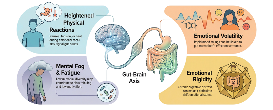 Gut–Brain Influences During IEMT Gut–Brain Influences During IEMT