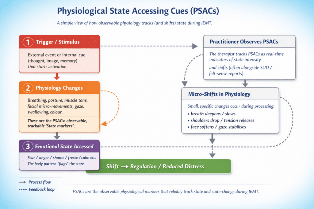 Stimuli, 2) Observable physiology changes, 3) Emotional state shift. Practitioners use this for trauma or PTSD work,...