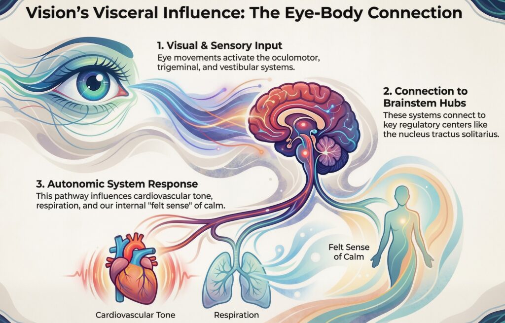 Ocular-Autonomic Integration 1 Ocular Autonomic Integration 1