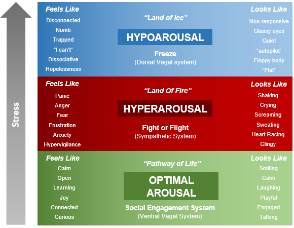 A diagram showing stress levels: Hypoarousal (blue, top) with freeze response, Hyperarousal (red, centre) with fight or...